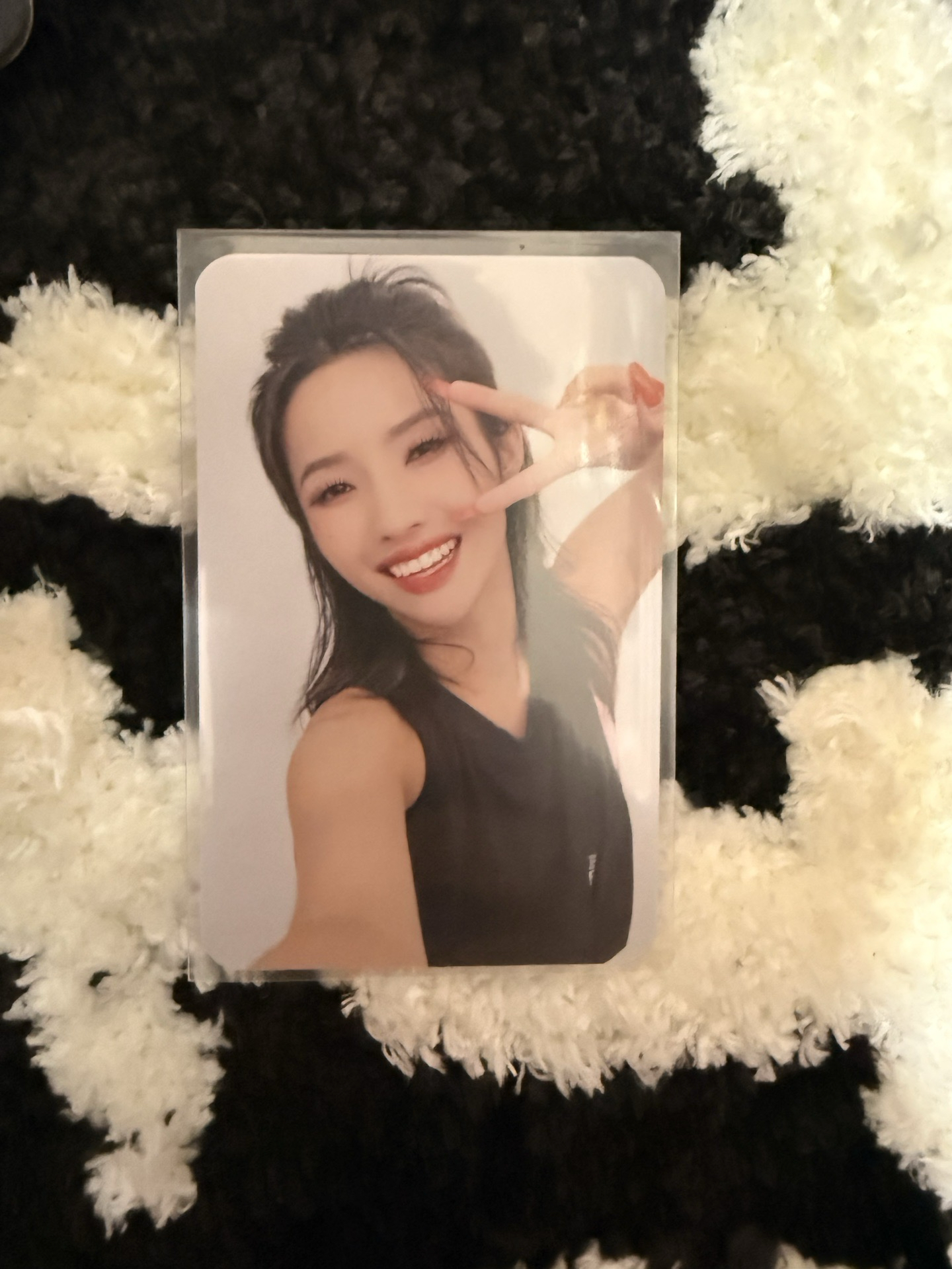 娟 2022日巡 會員禮卡