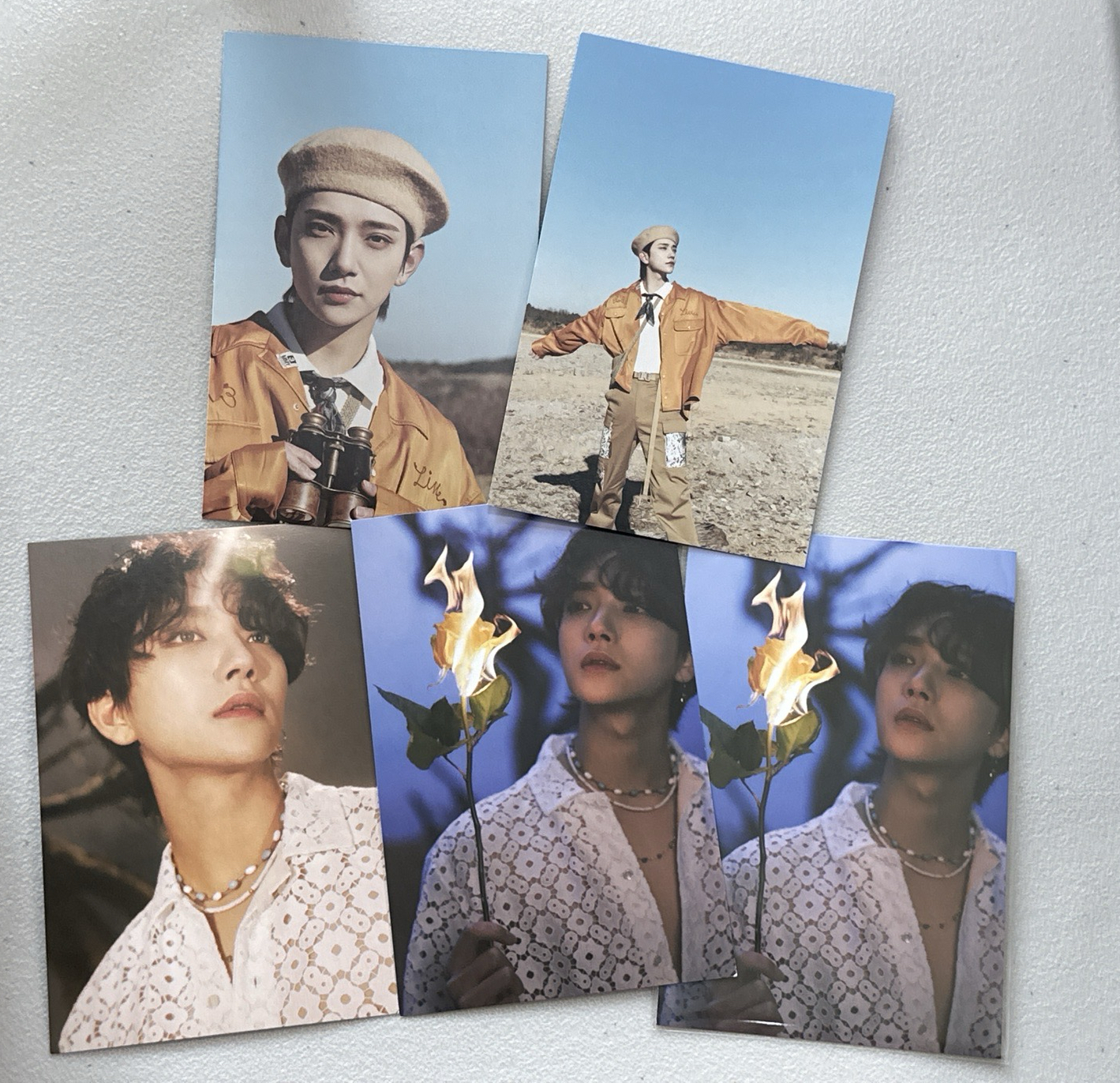 秀 正規四明信片(送專）