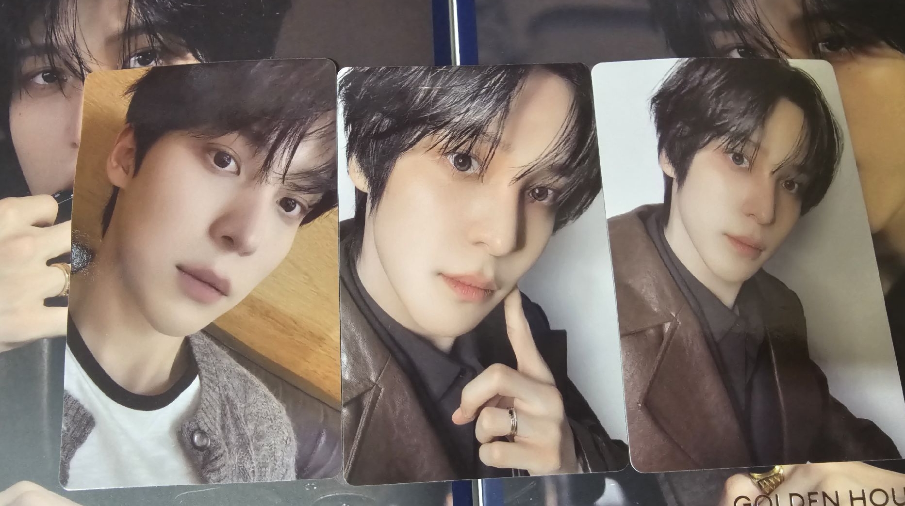 今天要選哪隻狗？