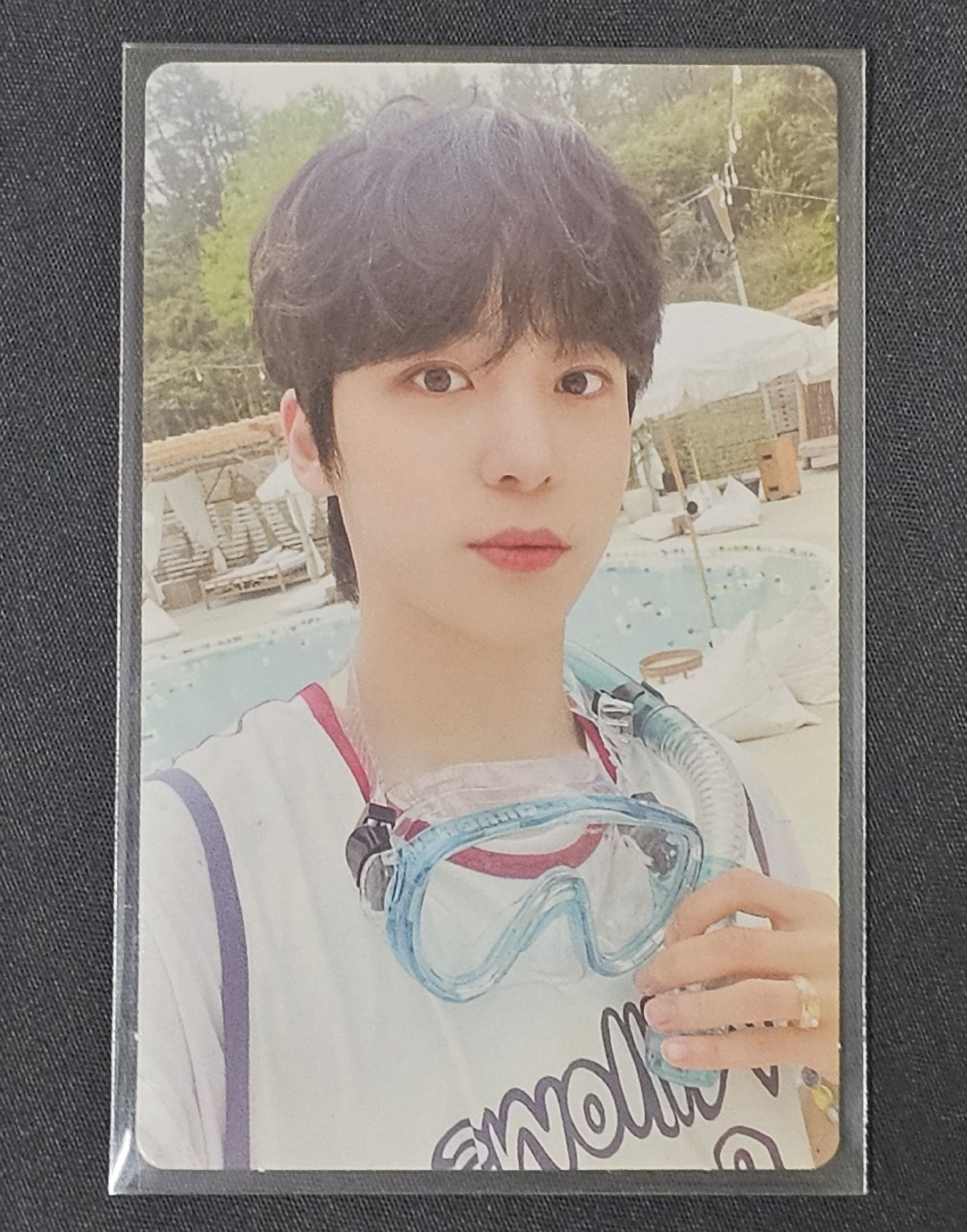 夏日護目鏡大狗狗