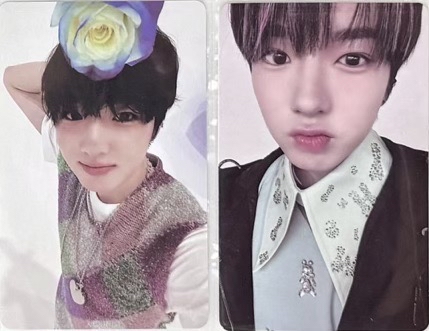 Songbird 早鳥中文卡背Sakuya