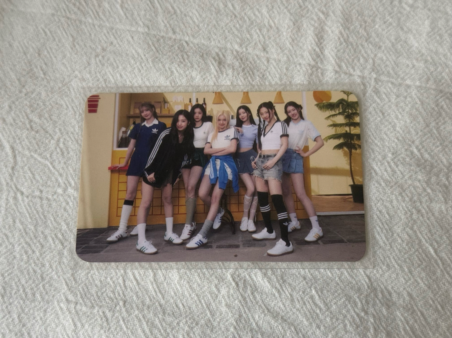 愛迪達 代言卡 團卡