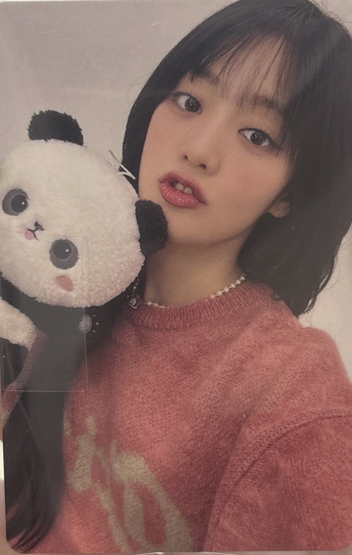 捆出熊貓語音妮