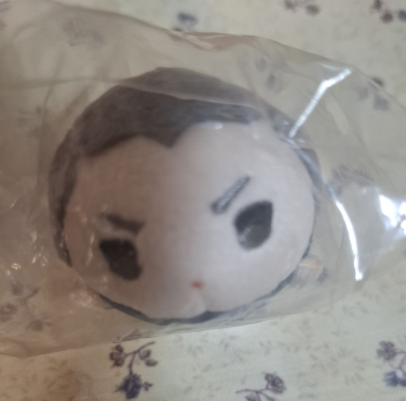 田中迷你趴