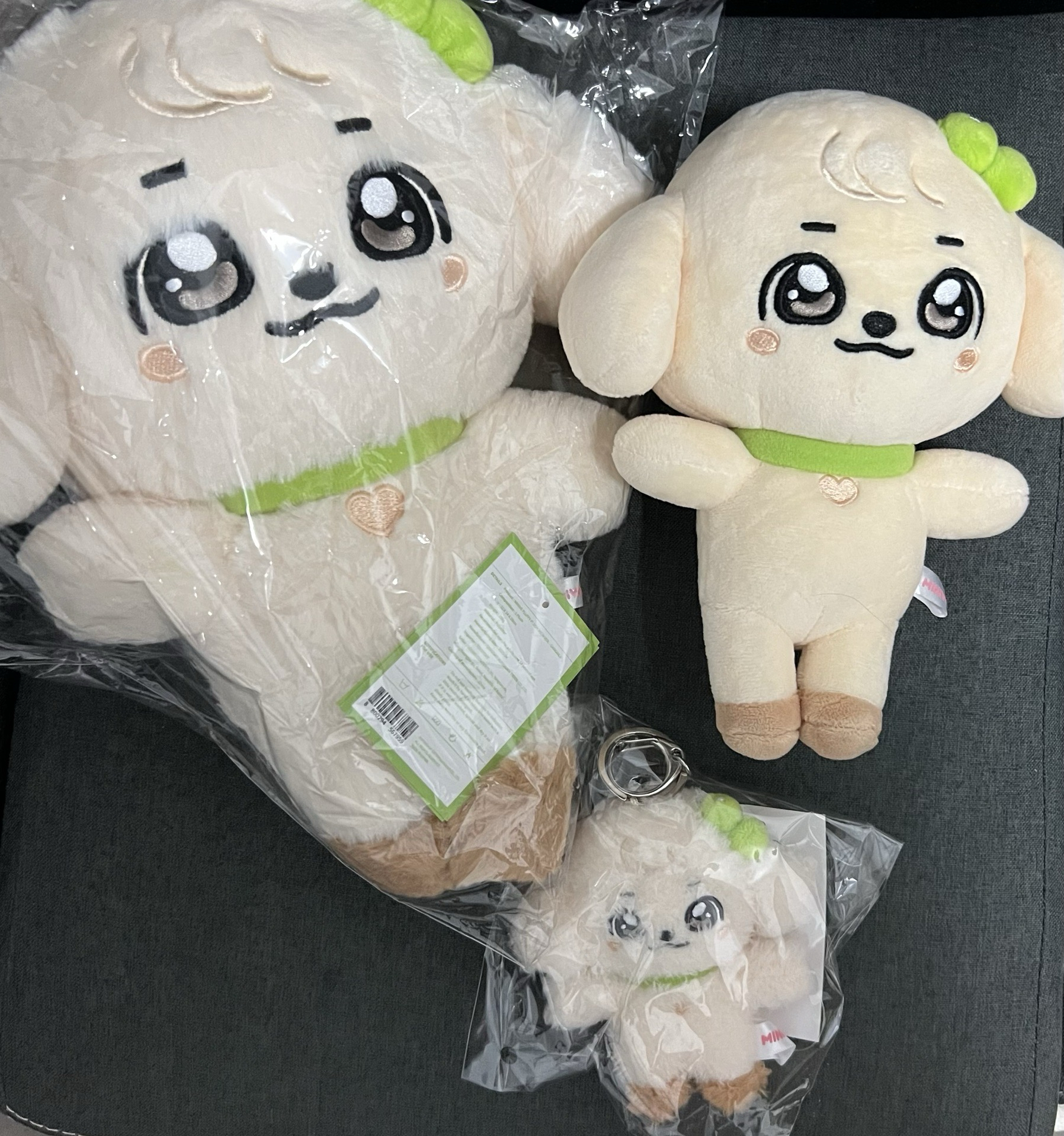 ！現貨！最可愛的🐶ganganji 安娃 三隻 可拆出