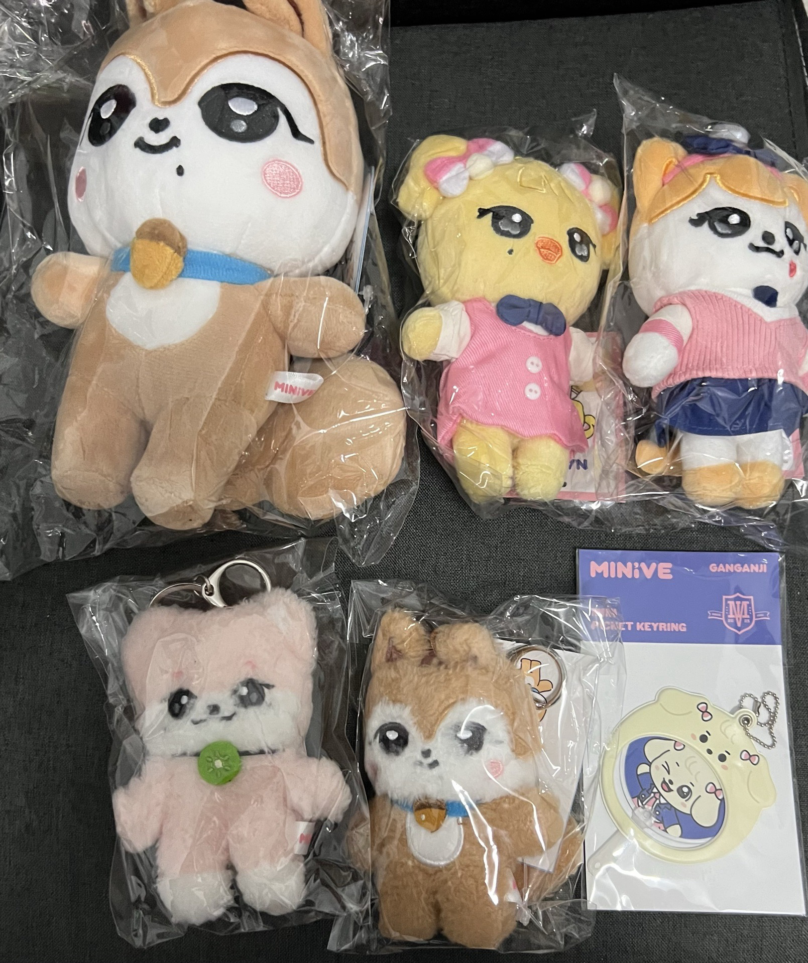 ！現貨！minive們 全新未拆