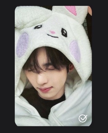 zeroni 維辰收納包卡