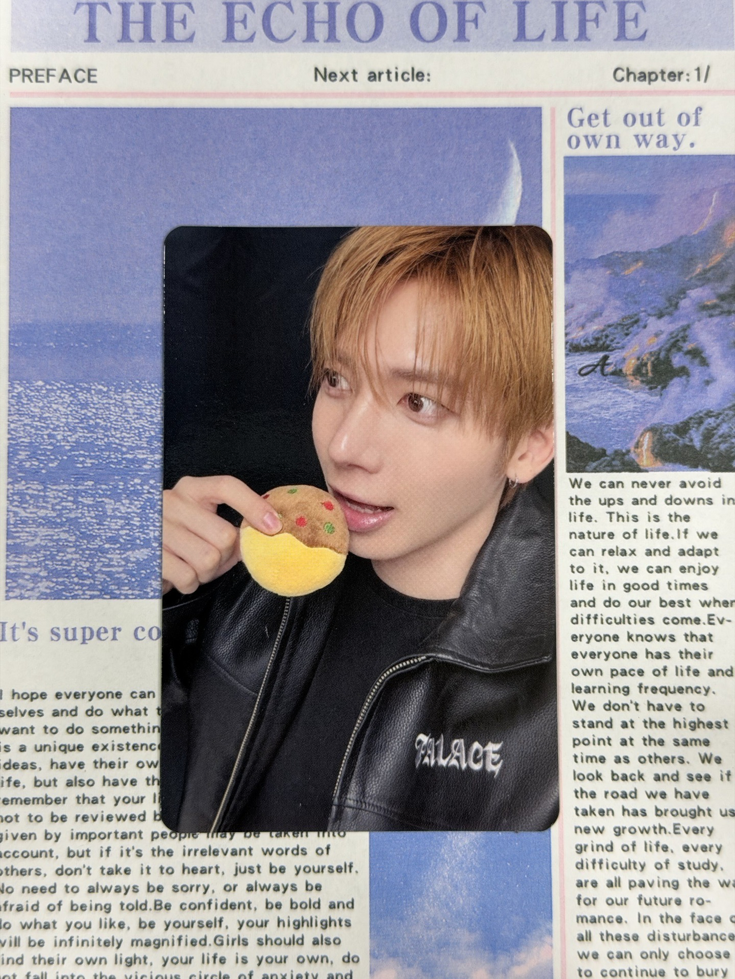 現貨 日本限定 顯 帶已拆全專