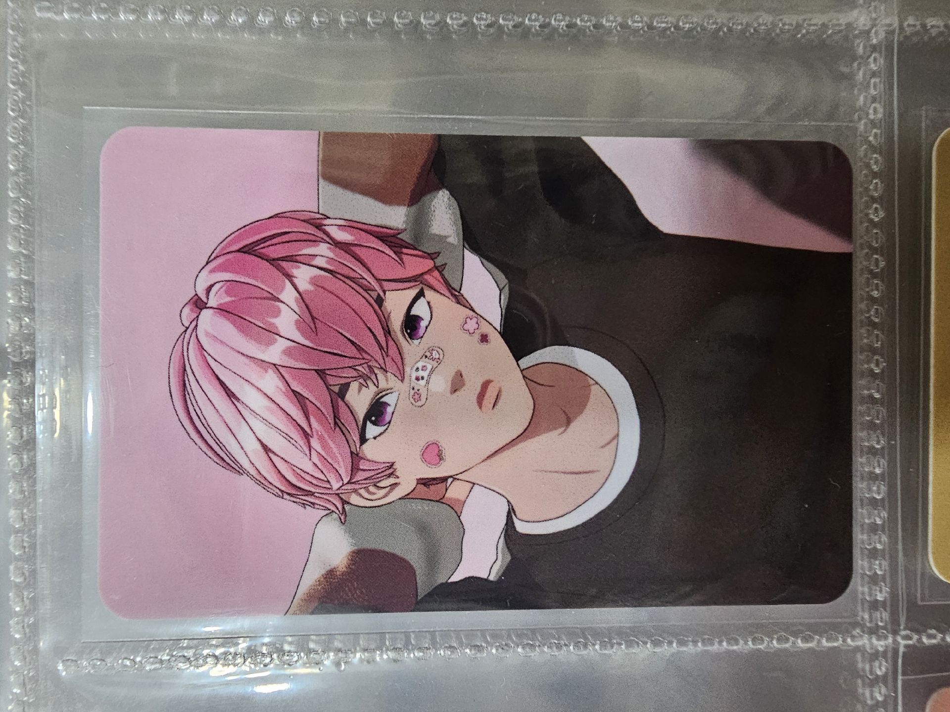 💗斑比