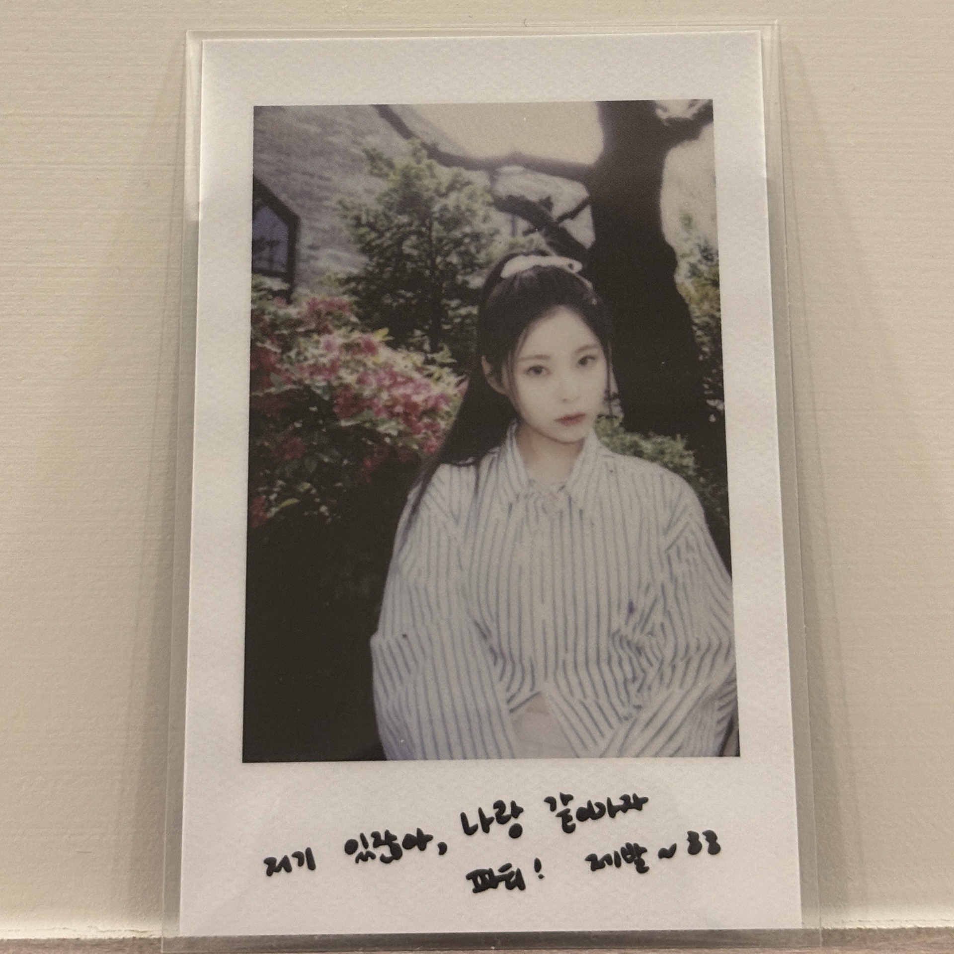 Nmixx 仲夏夜拍立得 乖小孩圭珍 Kyujin