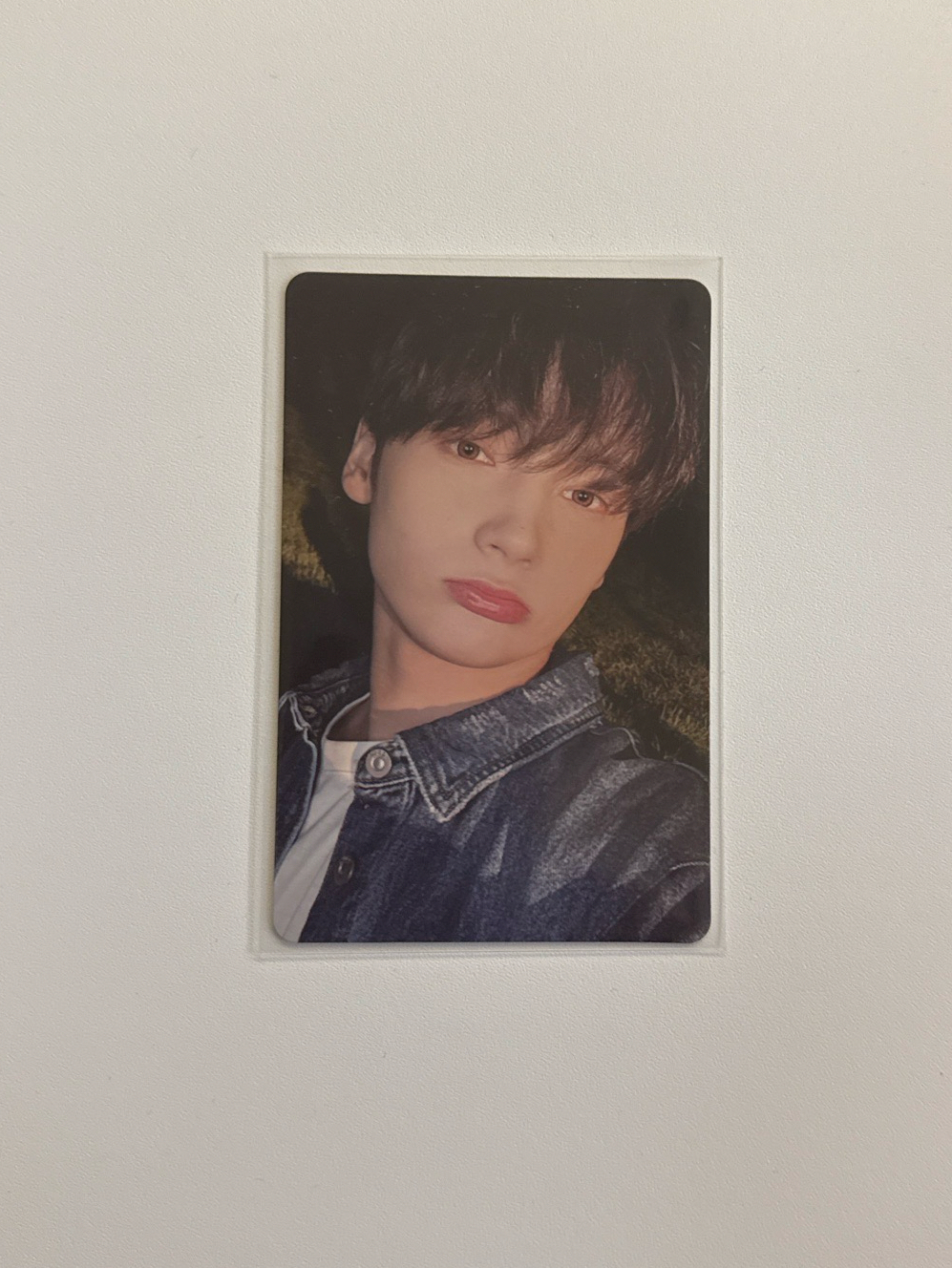 sanctuary 愛豆驛站 凱