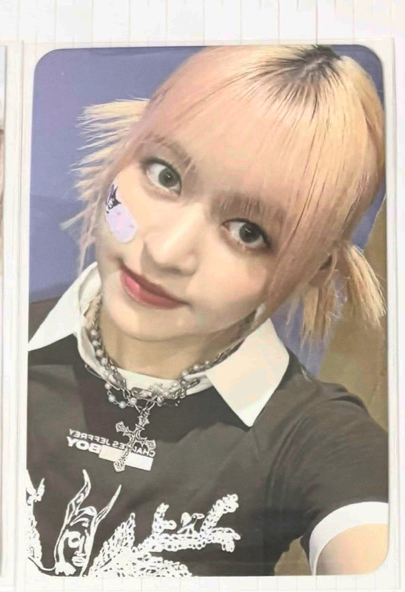 lmlt  庫洛米（多帶✨80