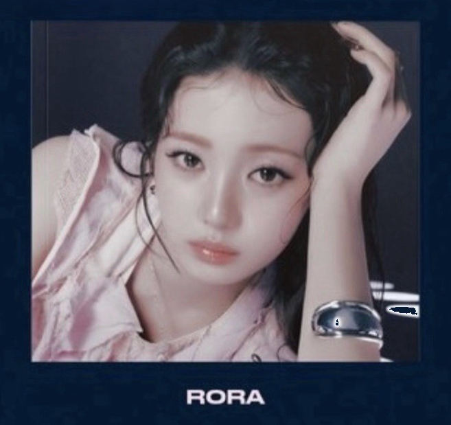 茶單封+茶預售禮