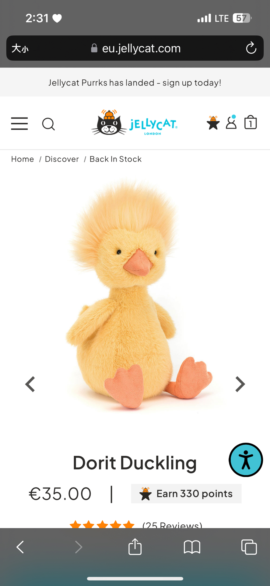 🤍預購 炸毛鴨鴨