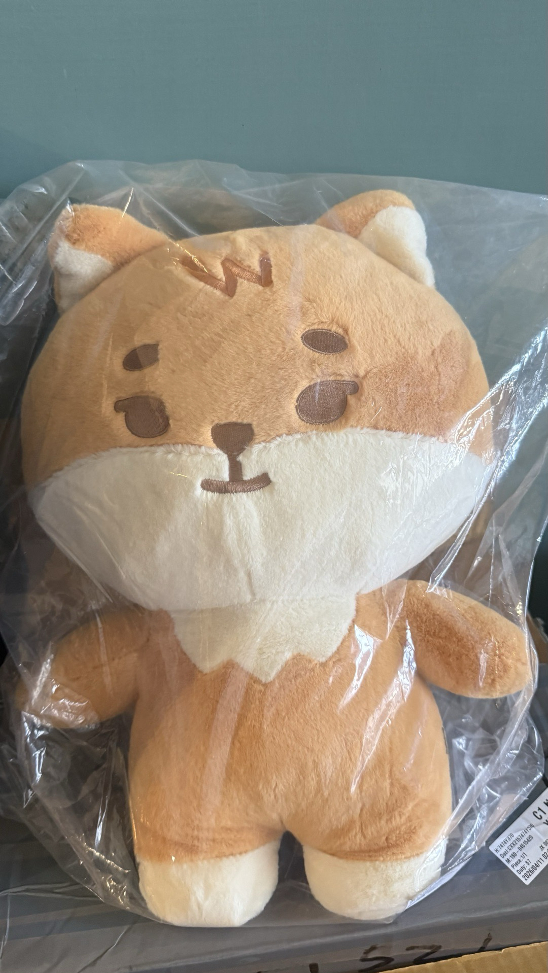 ke大娃 含拍立得 現貨 未拆