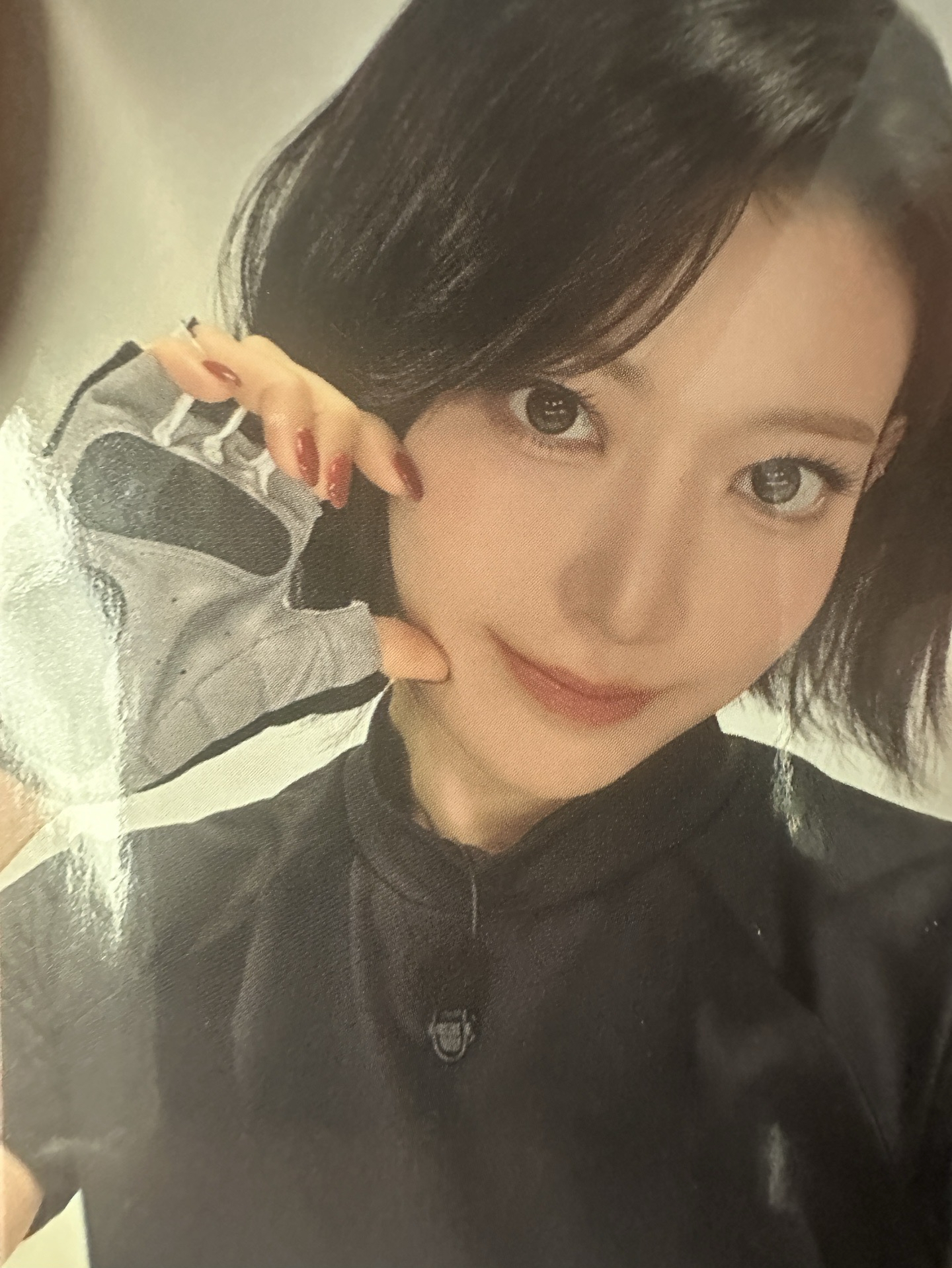 演唱會VR櫻花+特典票卡