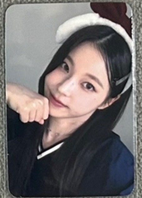 仲夏夜swld4奶兔圭