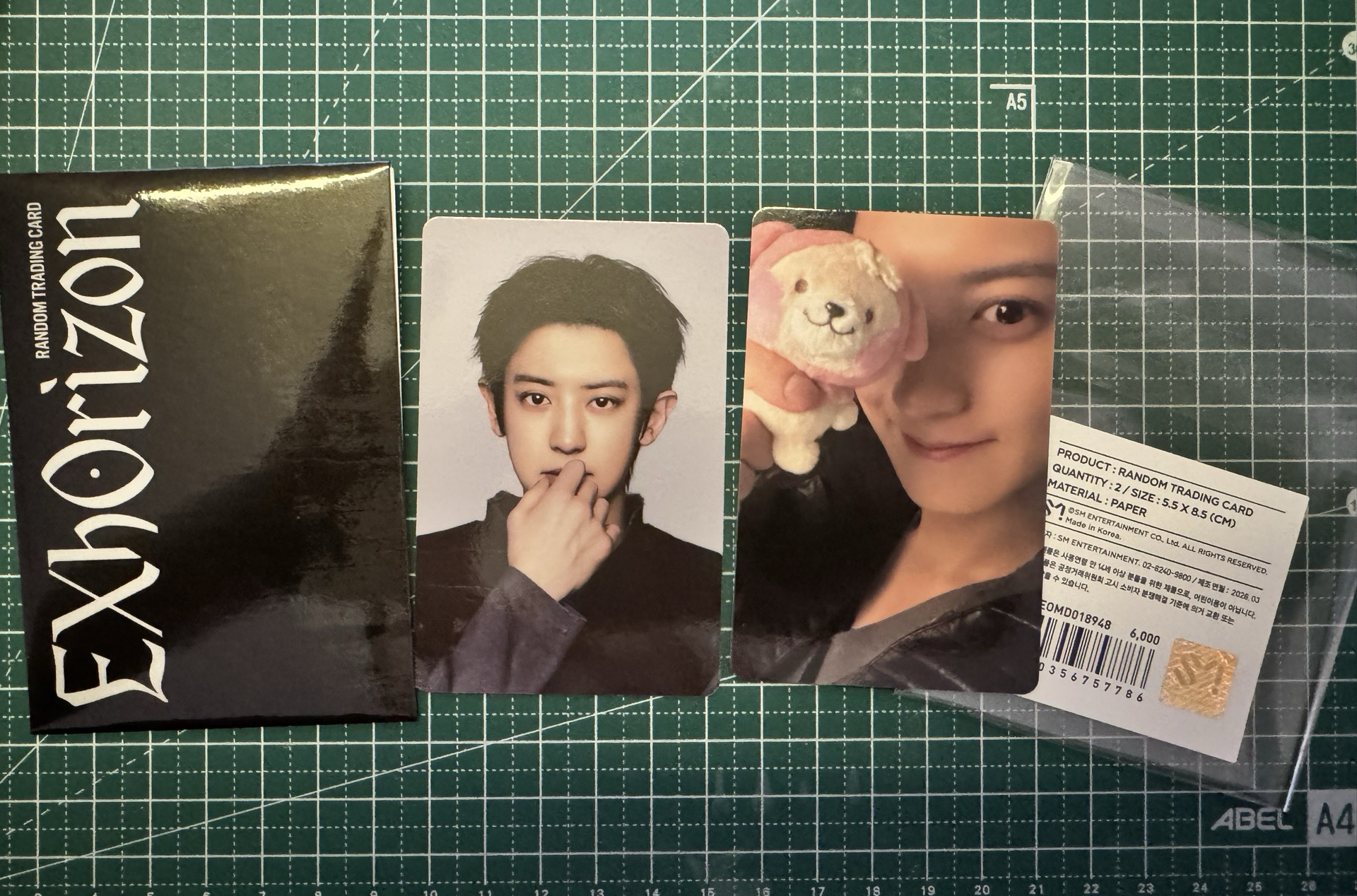 EXO六巡首爾場週 隨機卡包全員官拍+自拍組