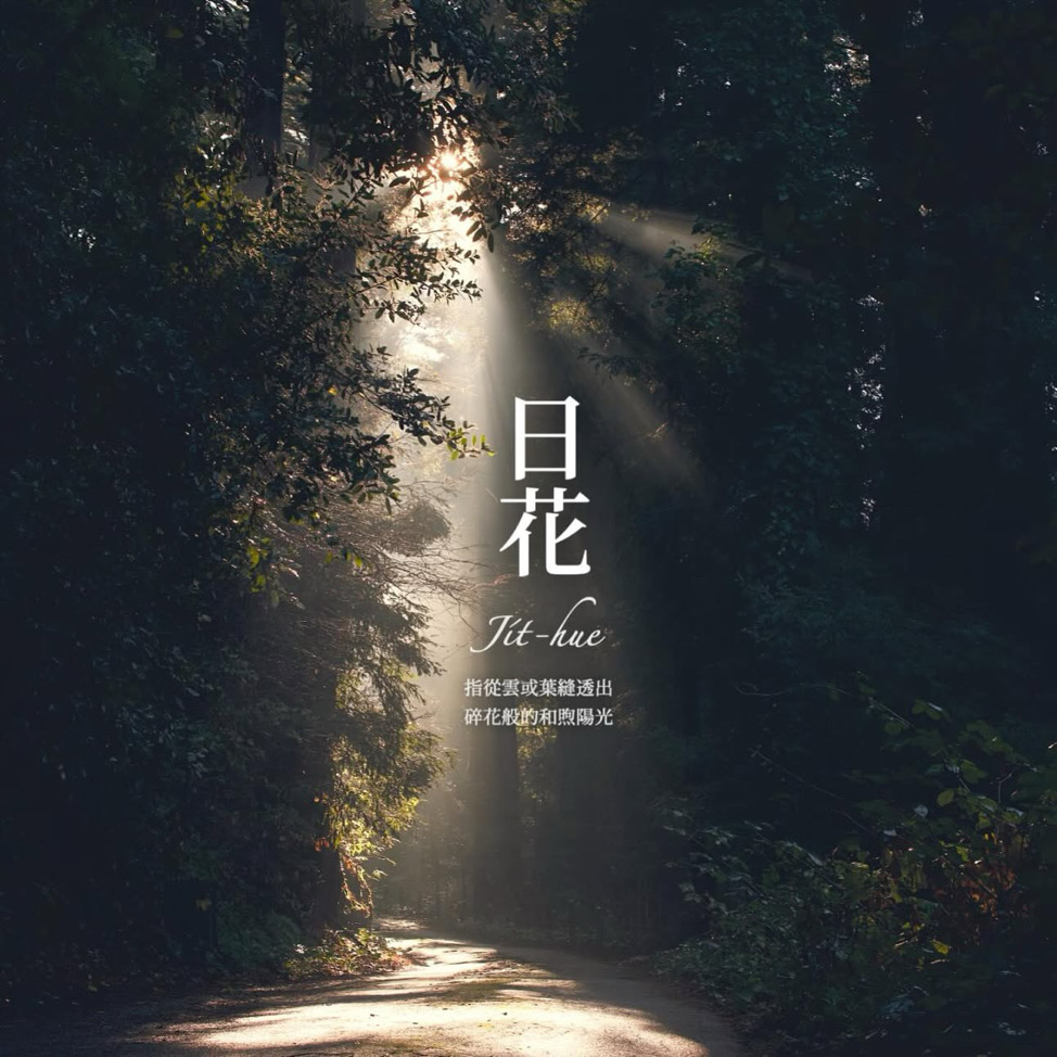 伊茲
