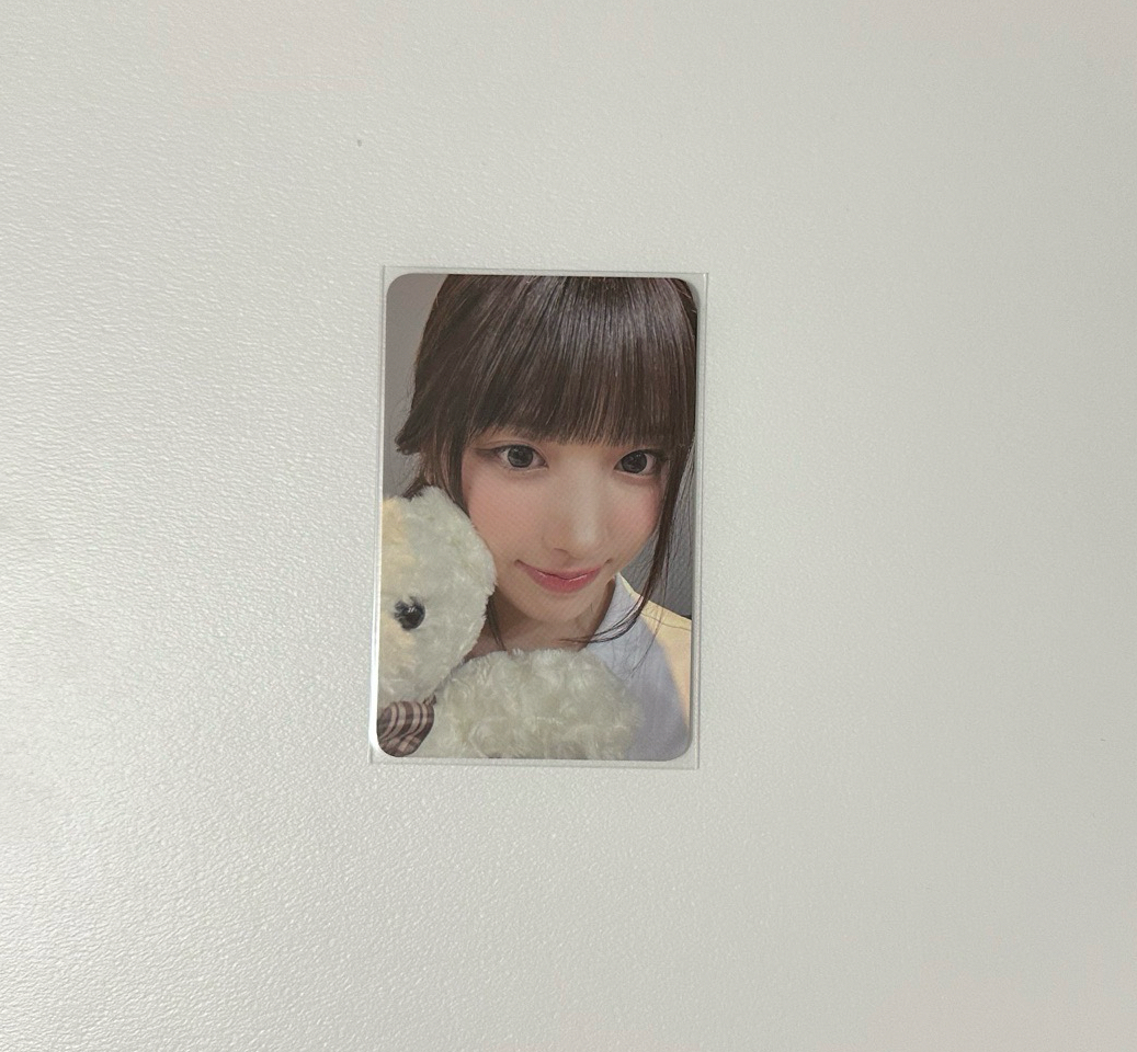🌟K4抱熊