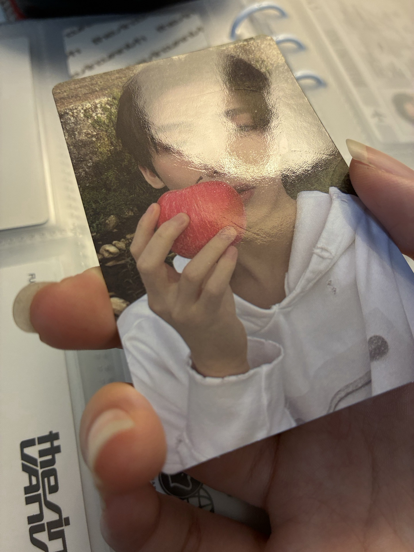 🦊🍎