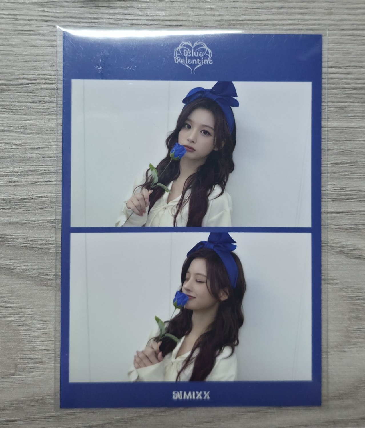 藍玫瑰二宮格薛