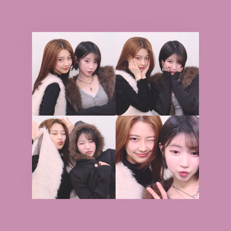我杏舒
