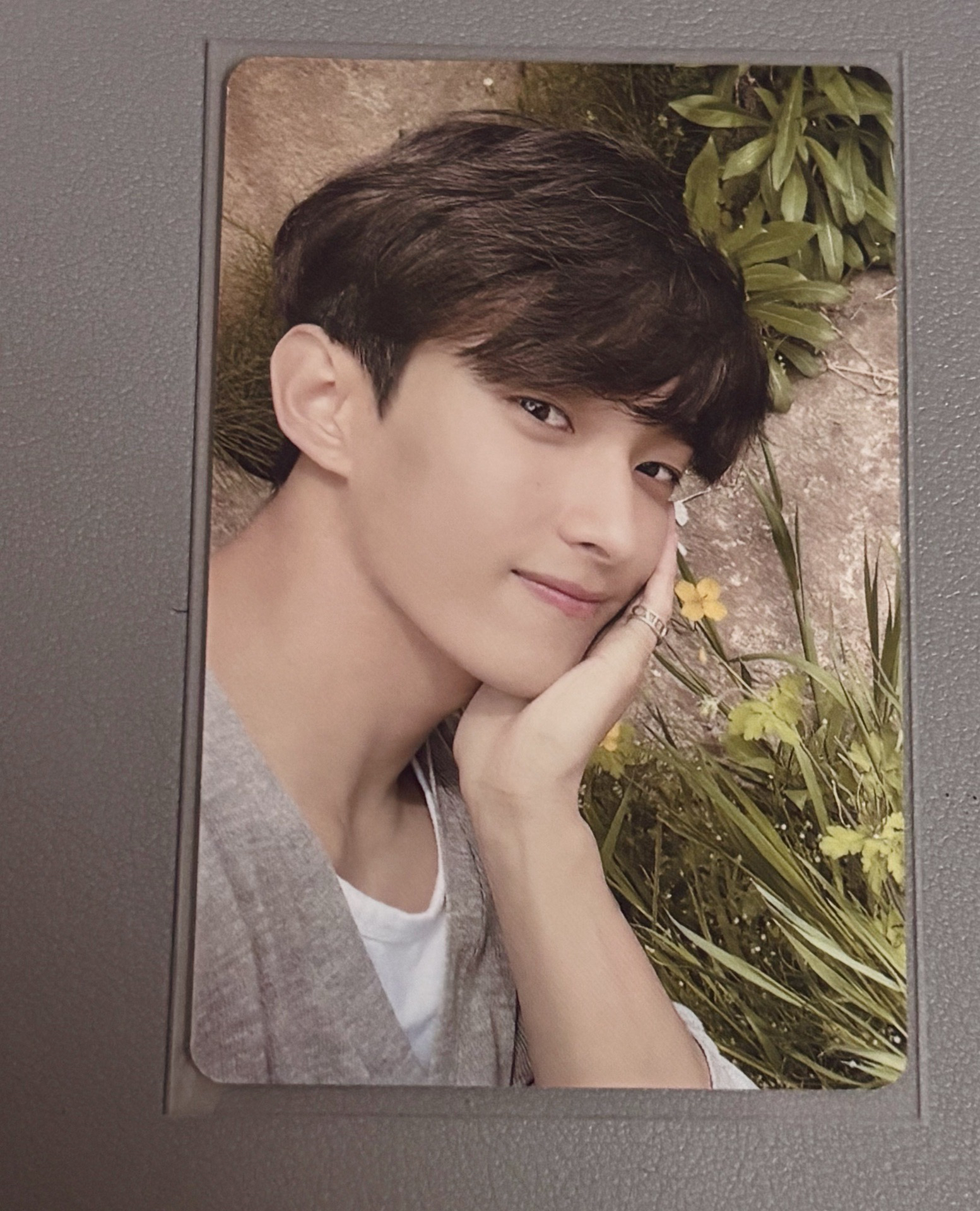 SEVENTEEN Dk<in the soop1.0>🌟