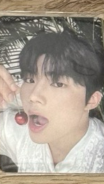 卡包卡 🍒