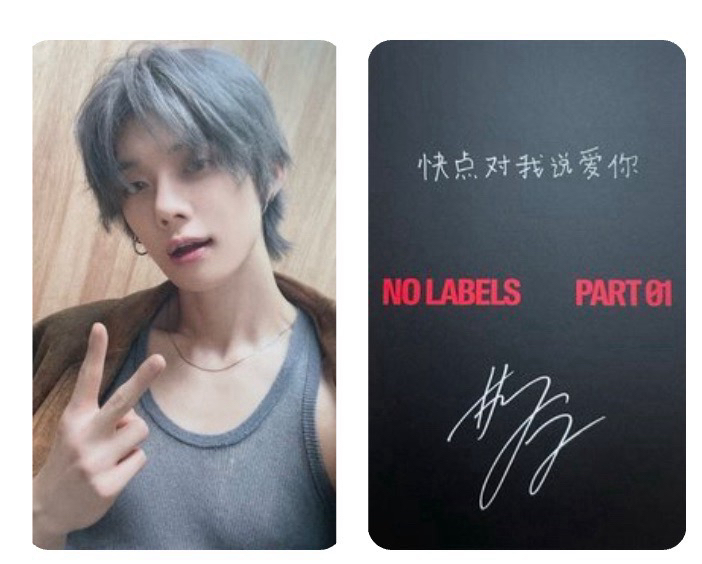 捏臉竣+中文卡背 