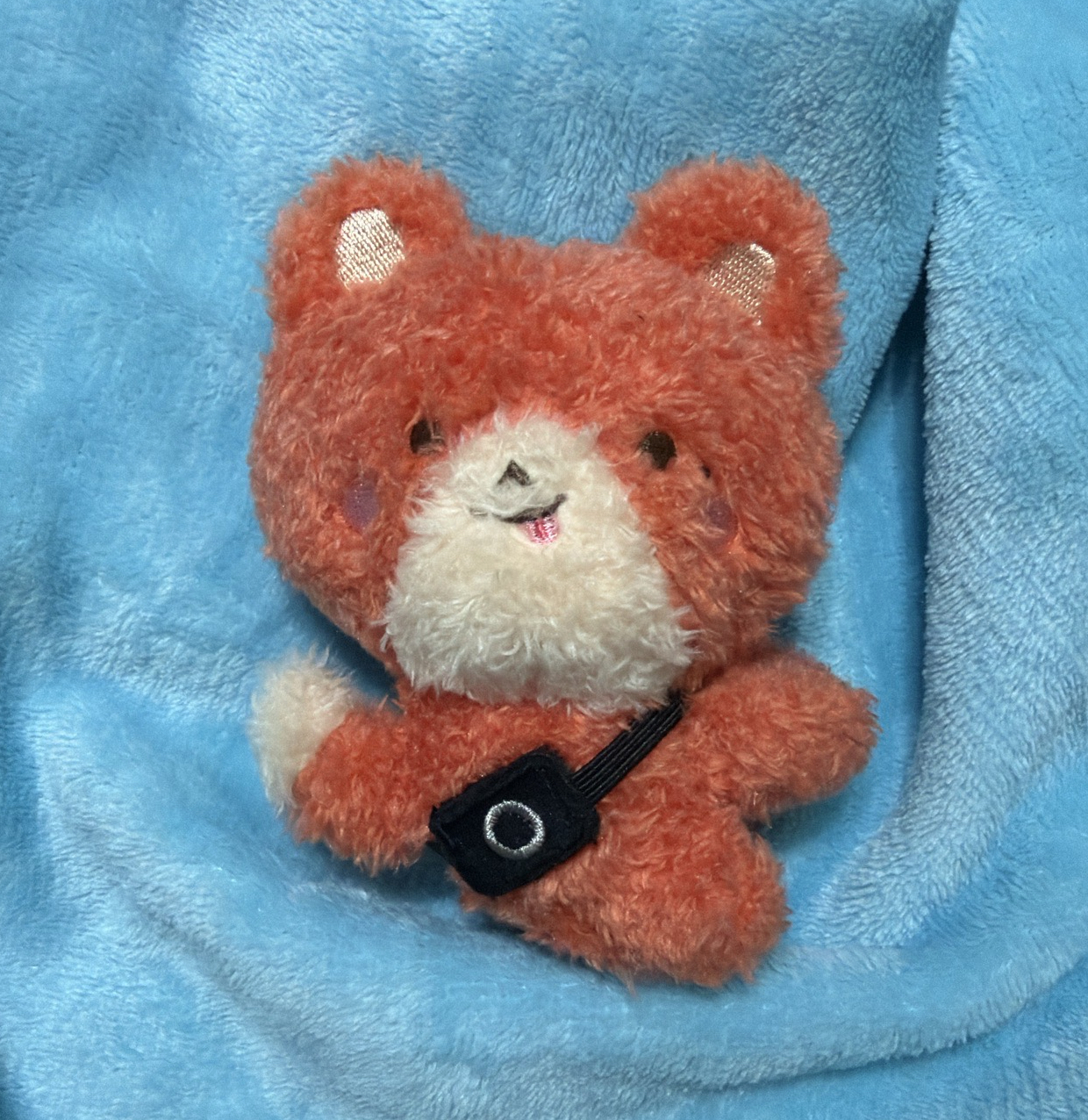 友榮生日MD 娃 （只有娃本人）