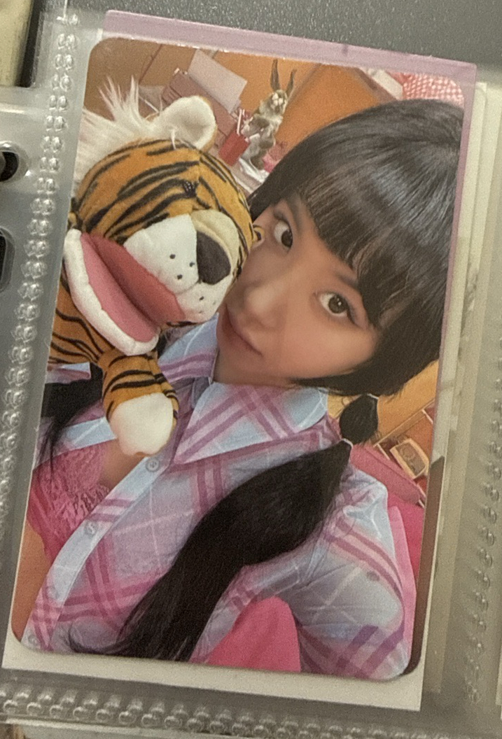 迷11 老虎彩
