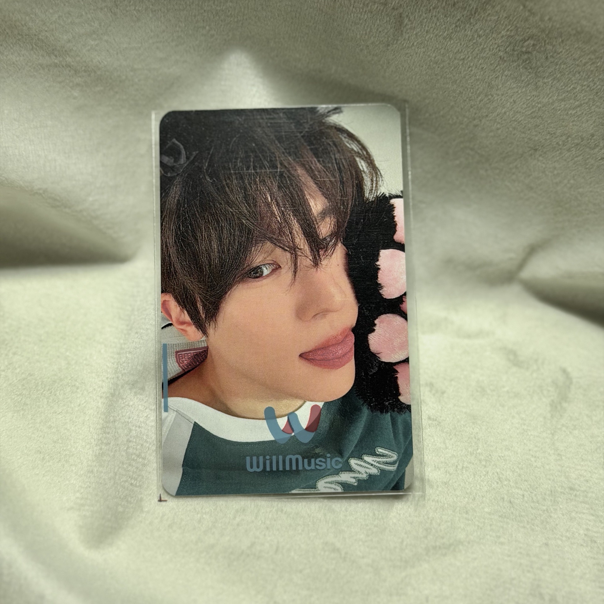 Sion吳是溫 貓爪