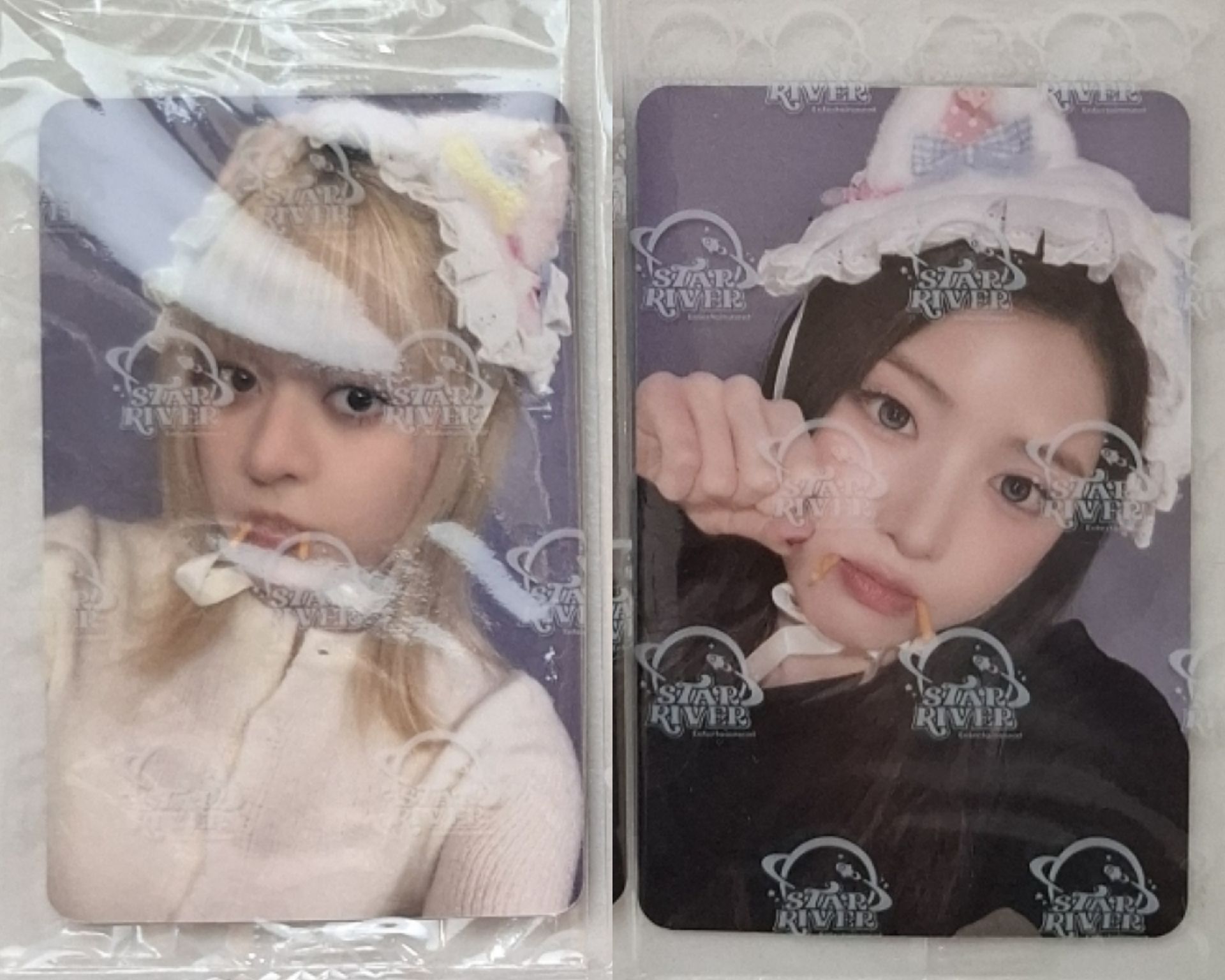 ✅️中背吸血鬼貓莉友