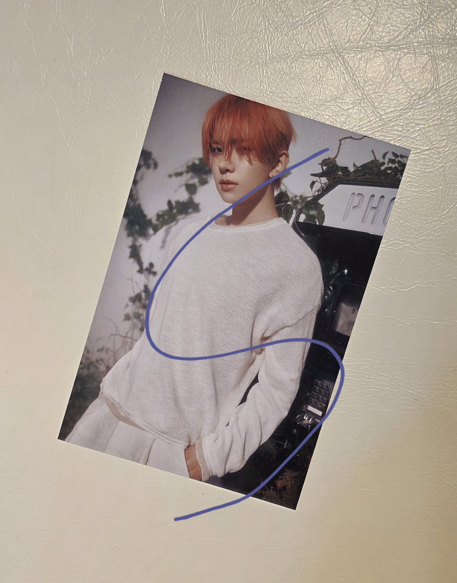 羲 會員禮 明信片 白版