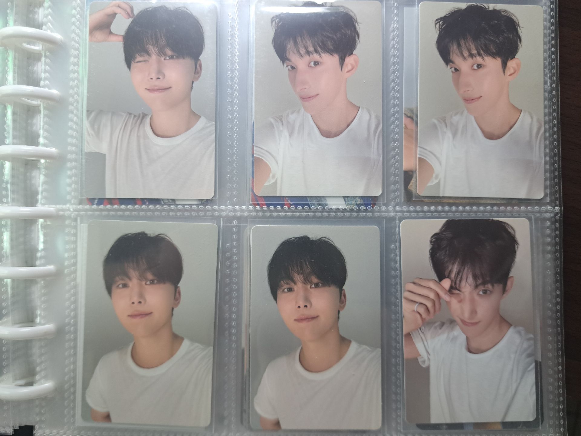 DxS 小夜曲 C版專輯卡