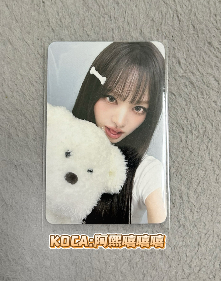 競標商品｜IVE SECRET hl簽售狗狗栗