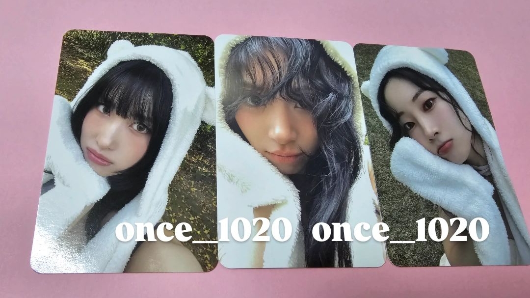 桃彩多 熊帽專卡