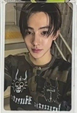 wvs新年特典玹（需多帶）