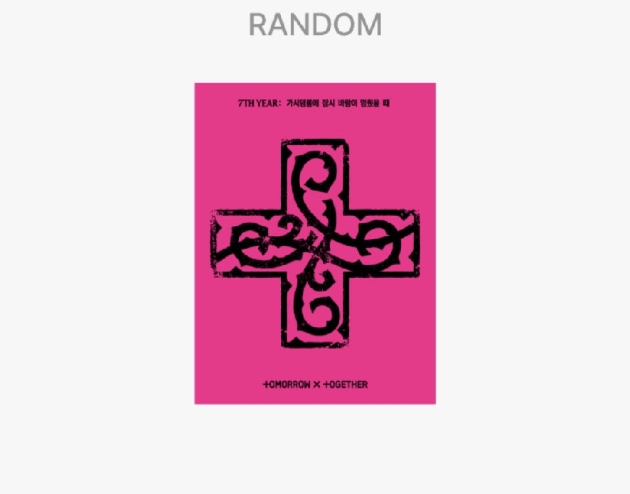 角巴兔電子專五張一套