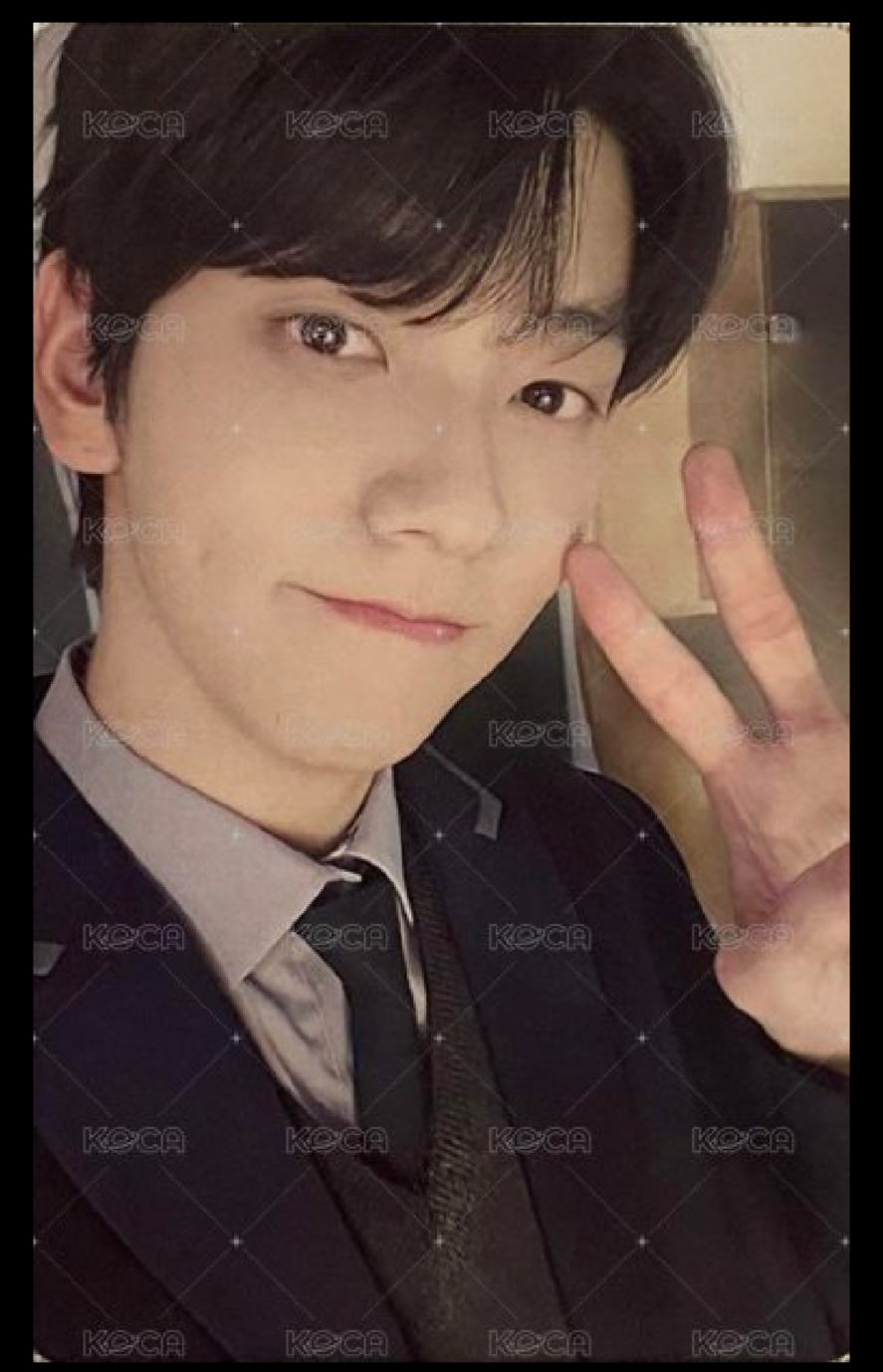 彬日本粽 moa zone