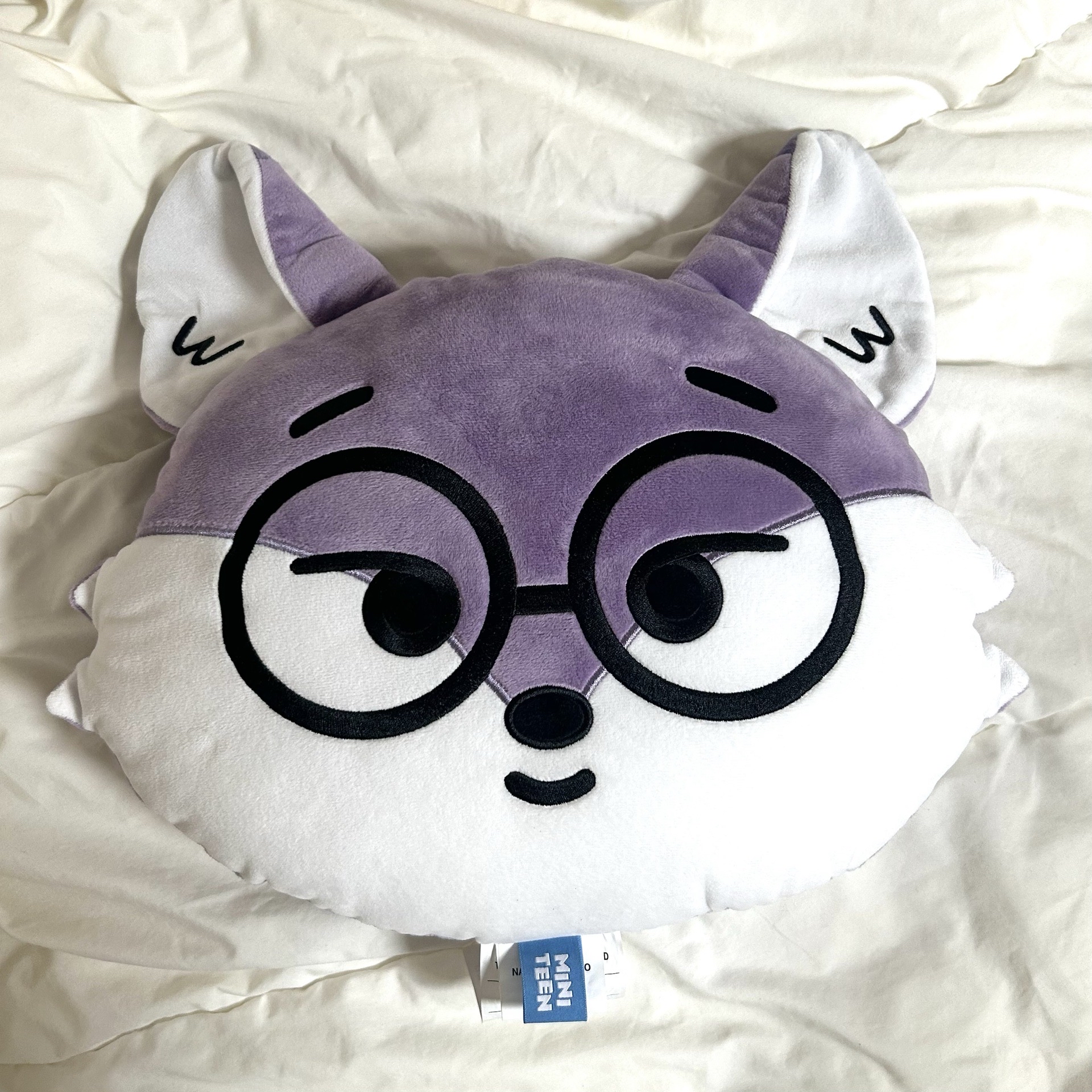 圓｜miniteen抱枕