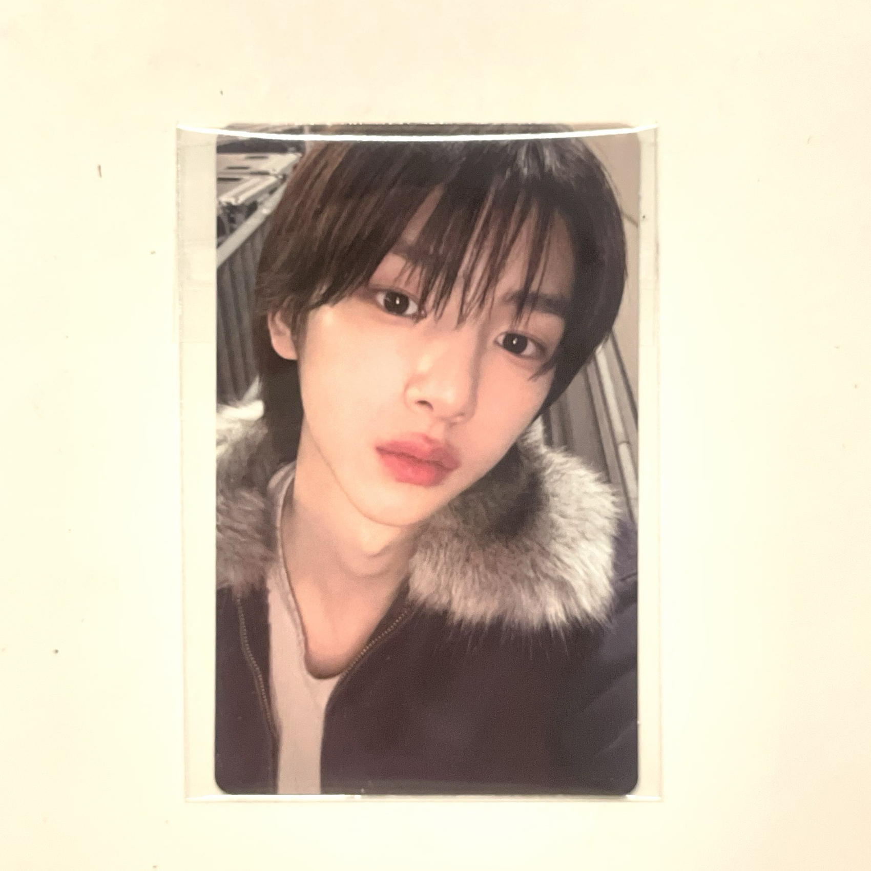 迷一 wvs 特典卡 25年末禮 訓