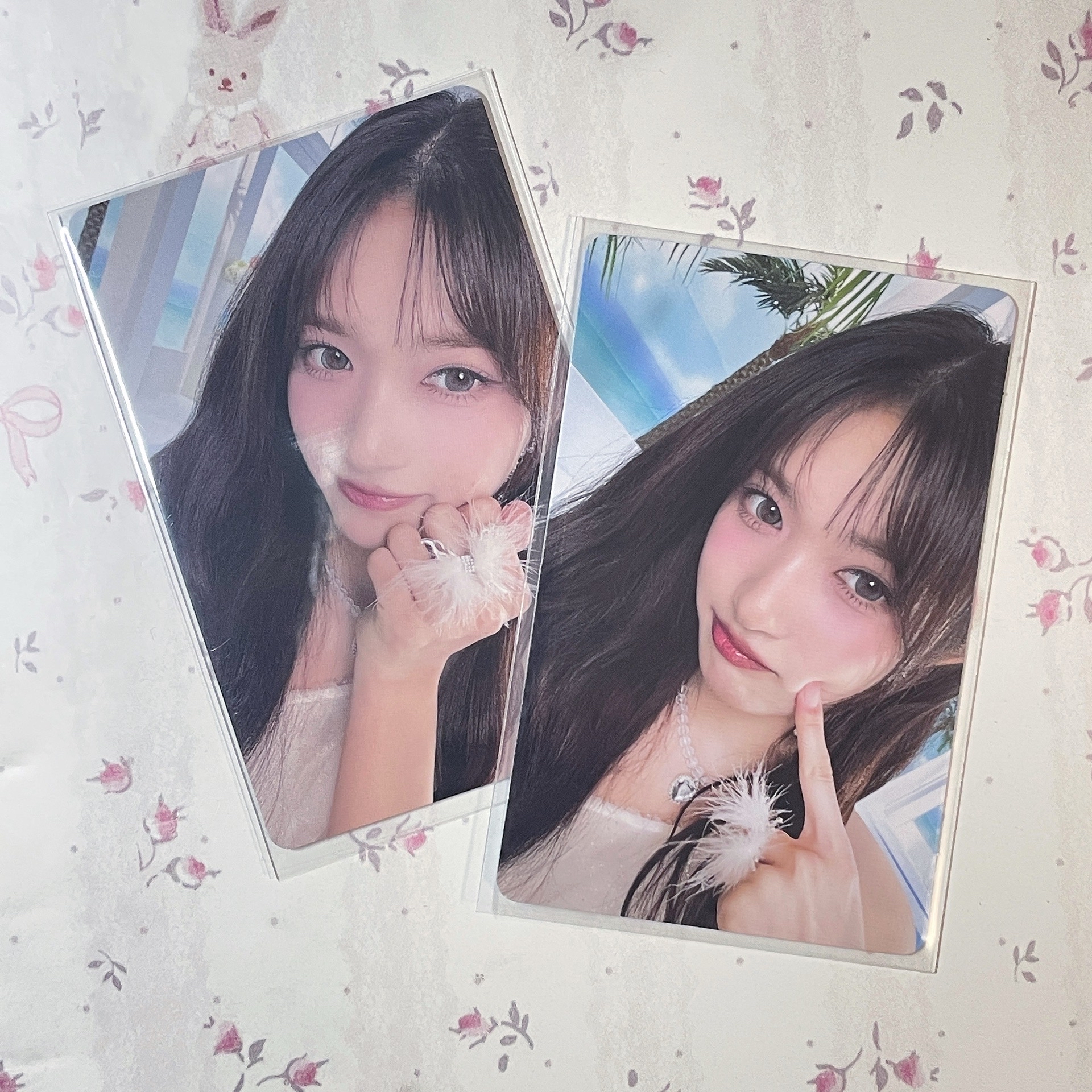 李瑞｜Alive 專卡 hmv