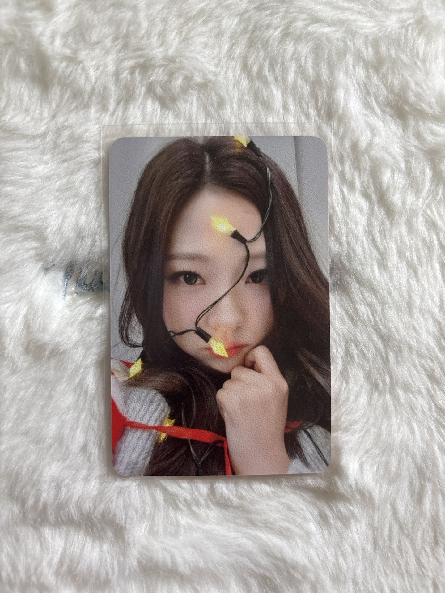 Stella Focus MINIRECORD 2.0 幸運卡 