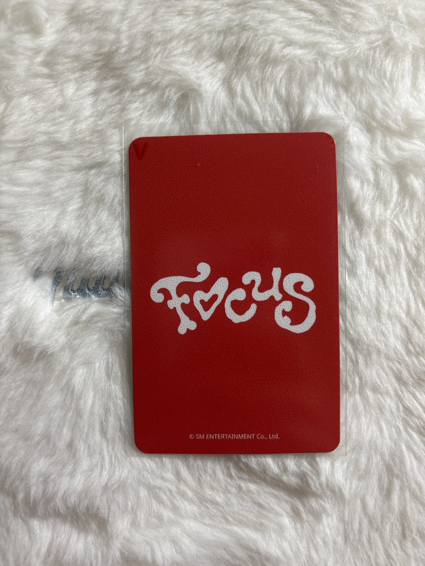 Stella Focus MINIRECORD 2.0 幸運卡 