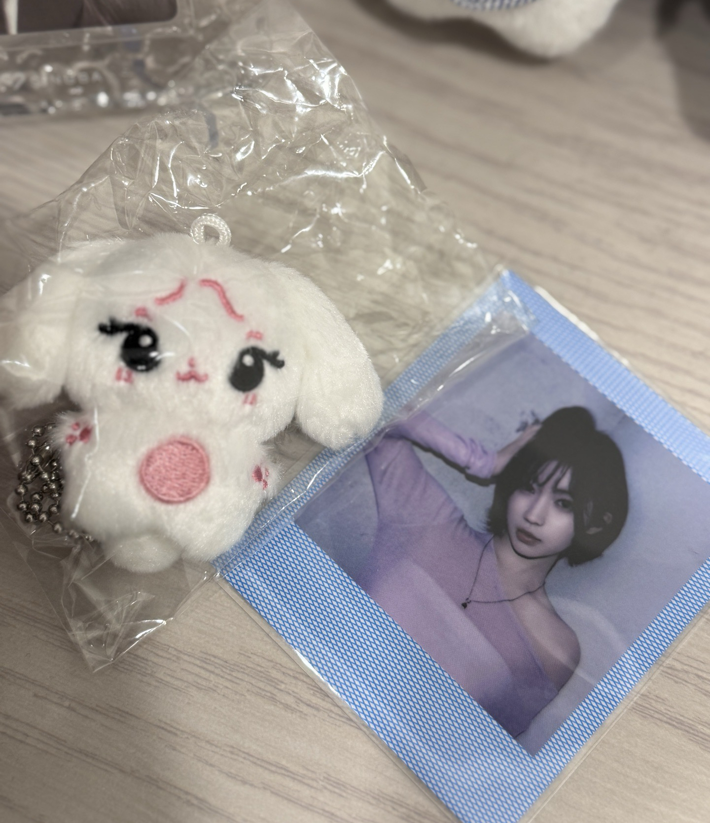 角拍立得+豆丁兔