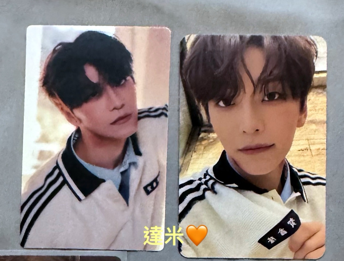 鑫龍貼紙+專卡