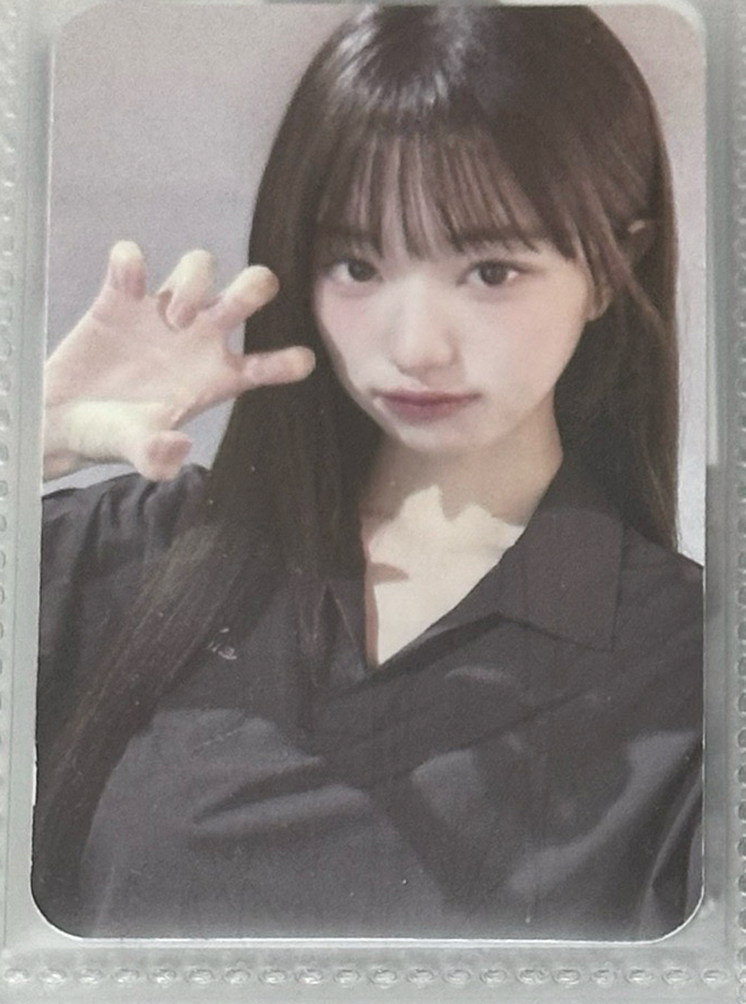 eider2.0（貓抓）