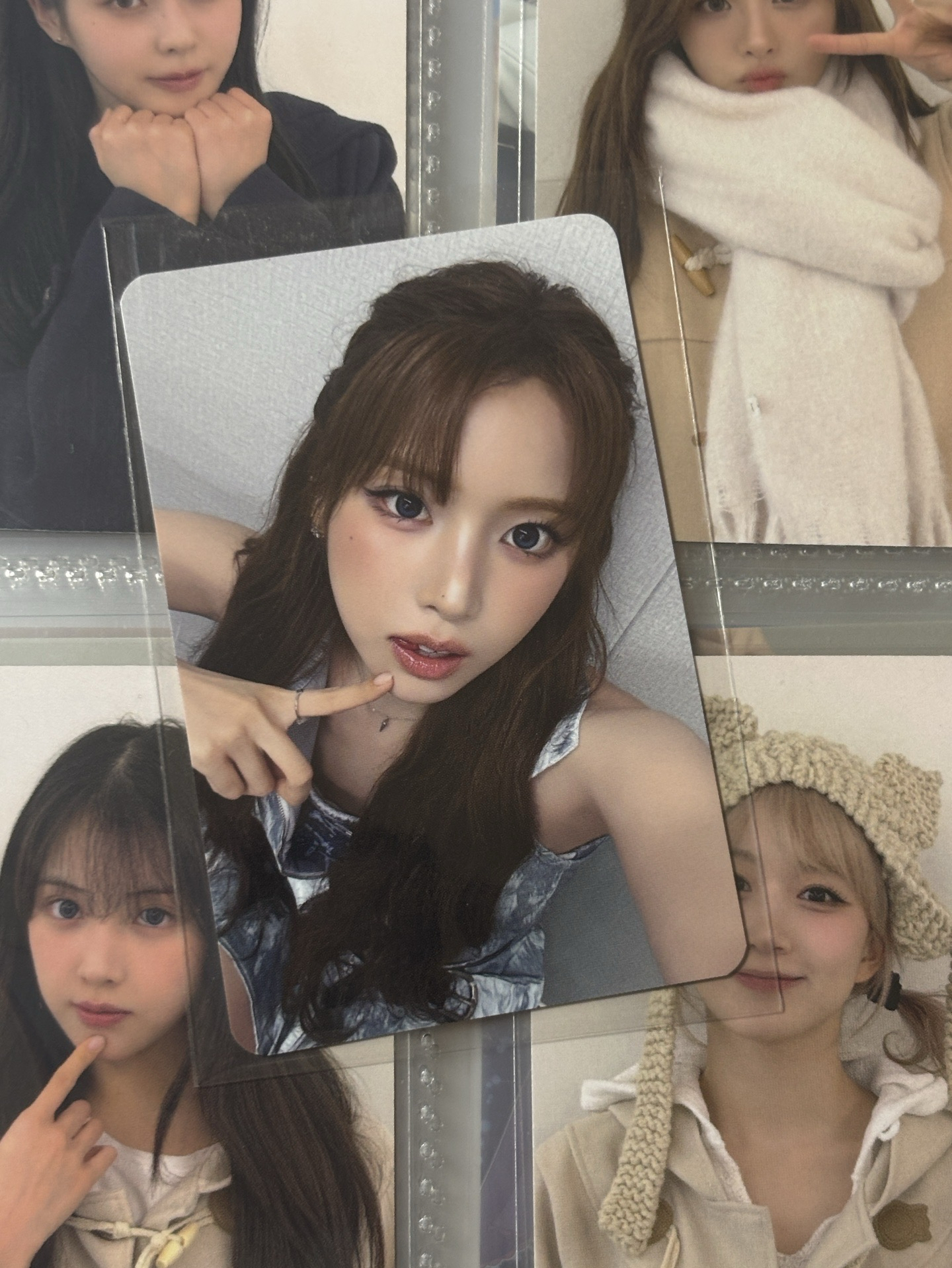 正規一 ms 深圳合影友（需多帶💜200+）